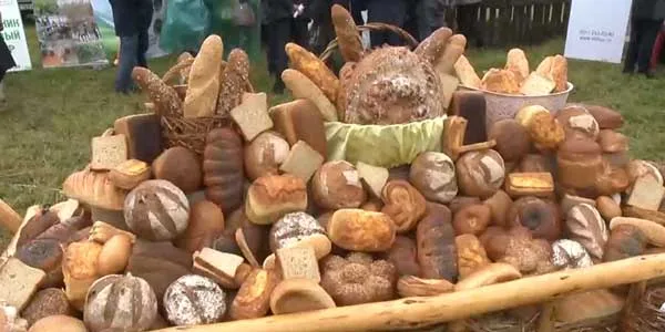 Фестиваль «День поля». Масштабная выставка нижегородских аграриев