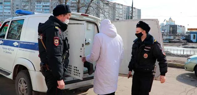 С полки в карман: двое дзержинцев пытались пронести алкоголь мимо кассы