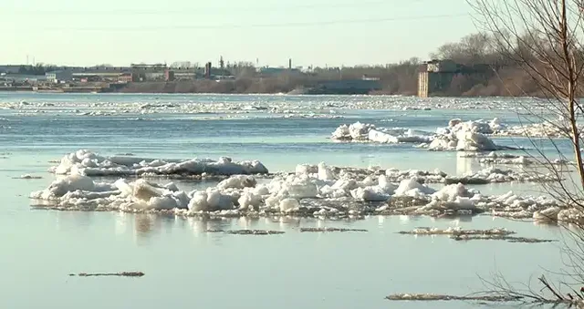 Дзержинск сегодня: полная версия выпуска 19.03.2024