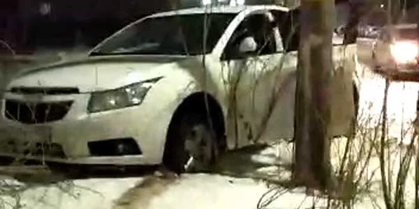 Столб не задел, но кусты помял. От неадекватного водителя дороги Дзержинска избавили поздние прохожие