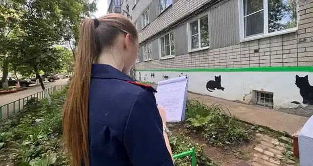 Сетка не удержала: двухлетний мальчик выпал из окна квартиры в Дзержинске