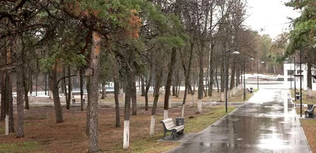 Дзержинск сегодня: полная версия выпуска 19 апреля