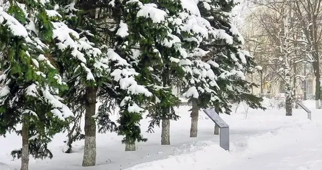 Дзержинск сегодня: полная версия выпуска 21.01.2026