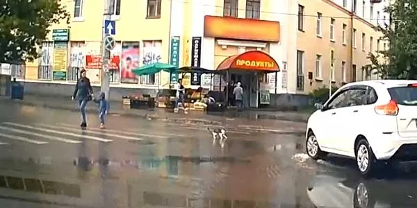Дорожные истории. Кот и лужа