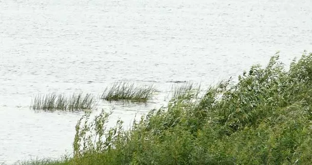 Трагедия на воде: тело 11-летней девочки извлекли водолазы из водоема в Володарске