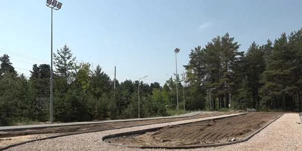 Более 600 деревьев и кустарников посадят в дзержинском парке «Утиное озеро»