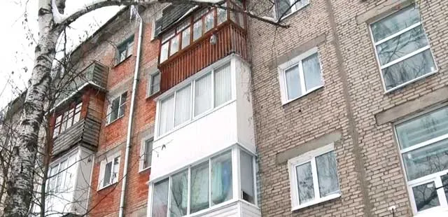 В двух словах: утилизация новогодних елок, ястребы на свалке и коммунальные тарифы для жителей Дзержинска