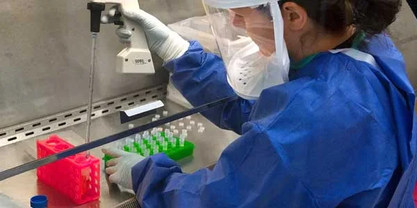 В Дзержинске за последние сутки короновирусной инфекцией заболели 70 человек
