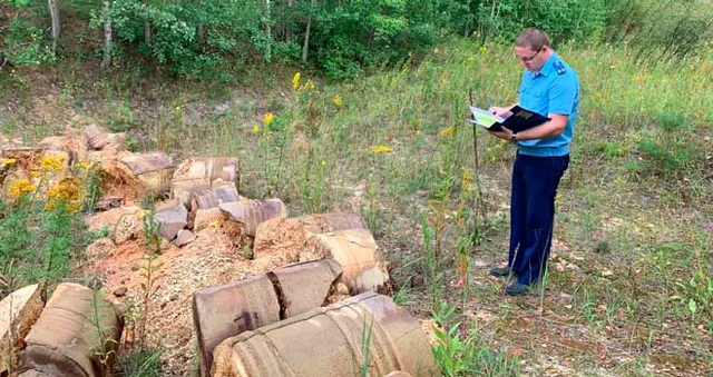 По требованию прокуратуры: несанкционированная свалка ликвидирована в пригородном поселке Дзержинска