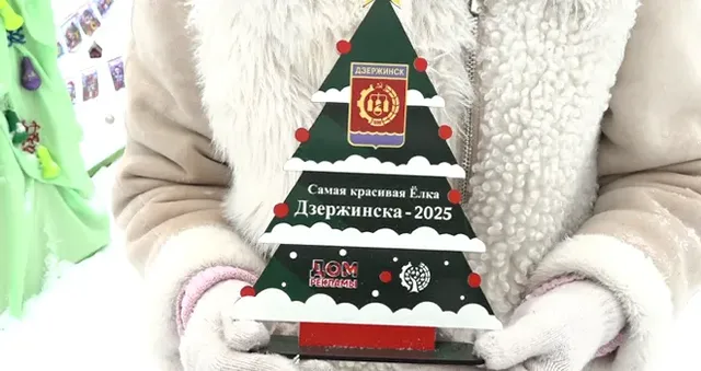 Хвойные красавицы: фестиваль-конкурс самых красивых новогодних ёлок прошел в Дзержинске