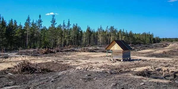 Второе пришествие. В Дзержинске фирма "Генмонтажстрой" под руководством Николая Кемайкина вновь стала обладателем крупного контракта