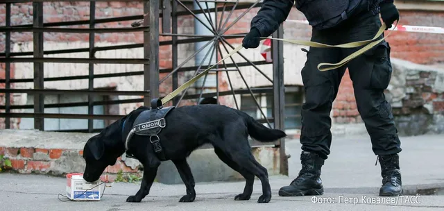 В Москве из-за угрозы взрыва эвакуировали 14 торговых центров и вокзал