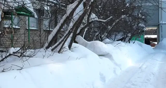 Дзержинск сегодня: полная версия выпуска 02.02.2026