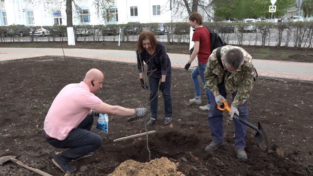 Дзержинск присоединился к Всероссийской ежегодной акции «Дерево Победы»