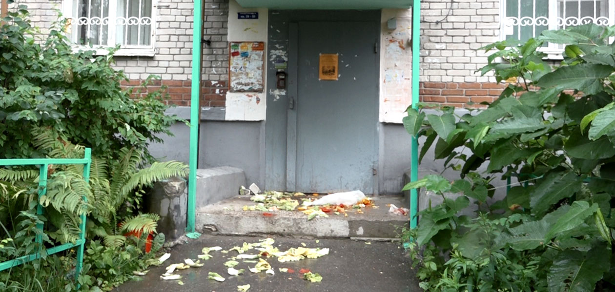 В одном из домов Дзержинска орудуют мусорные хулиганы