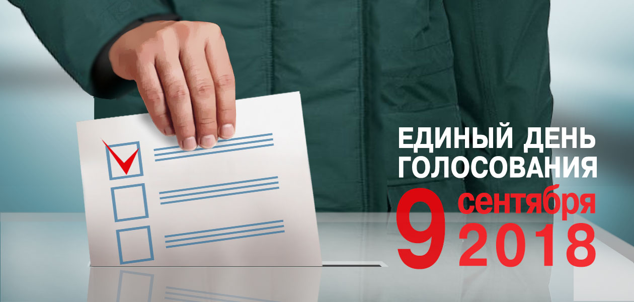 Дзержинцы выберут губернатора области, депутата Гордумы и территорию для благоустройства