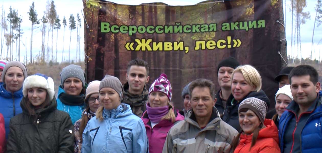 Нижегородская область присоединилась к экологической акции «Живи лес»
