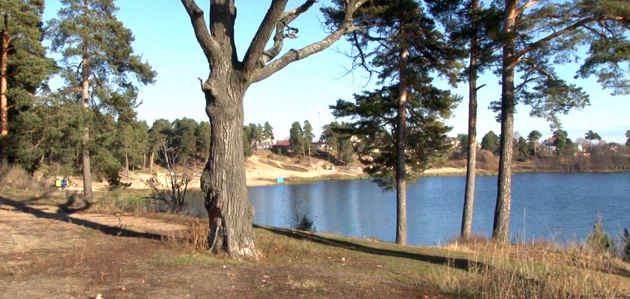Проект по благоустройству озера Святое нуждается в финансировании