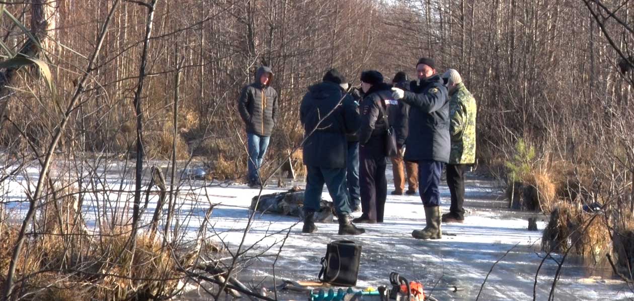 В болоте дзержинского Первомайского леса нашли труп мужчины