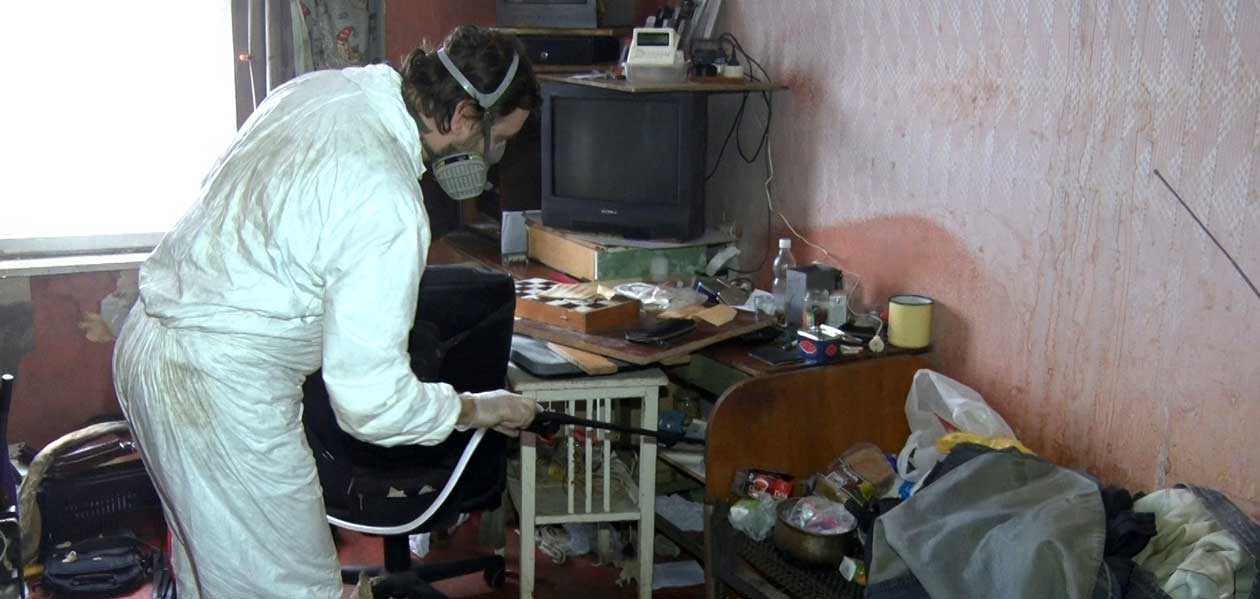 В одном из домов Дзержинска пришлось провести дезинфекцию