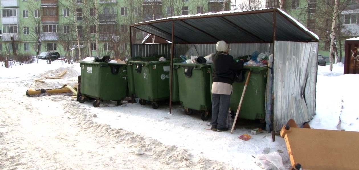 Дзержинск живет по новым правилам вывоза мусора