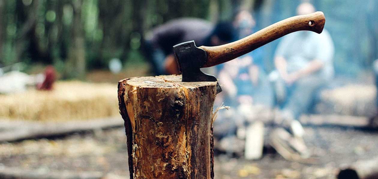 Глава сельсовета Володарского района попался на незаконной вырубке леса