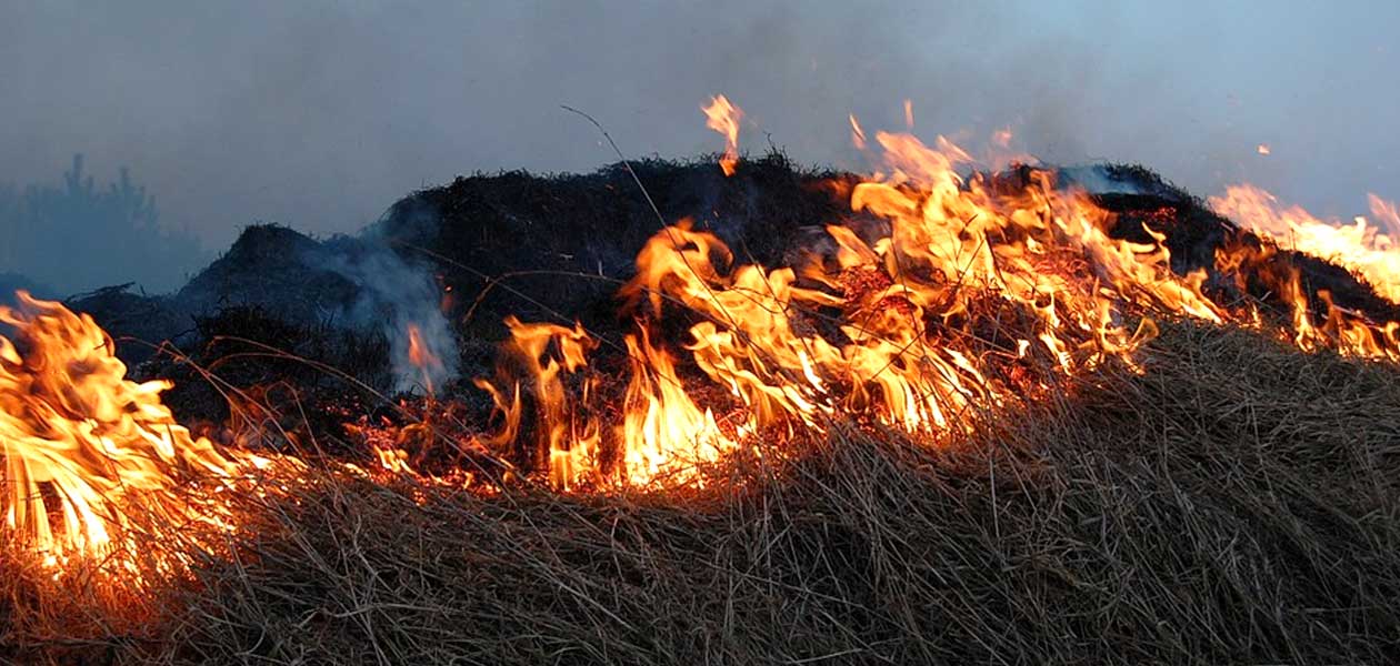 В Дзержинске и его окрестностях горят мусор и трава