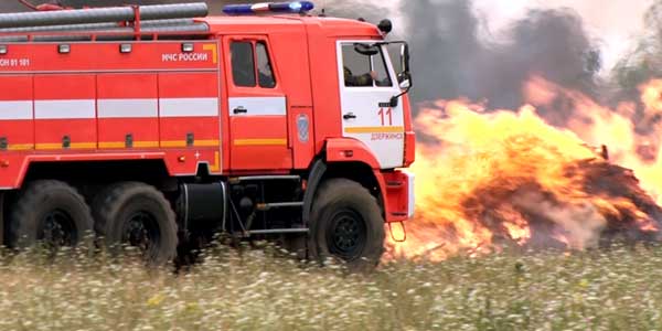 В Бабино потушили «лесной пожар»