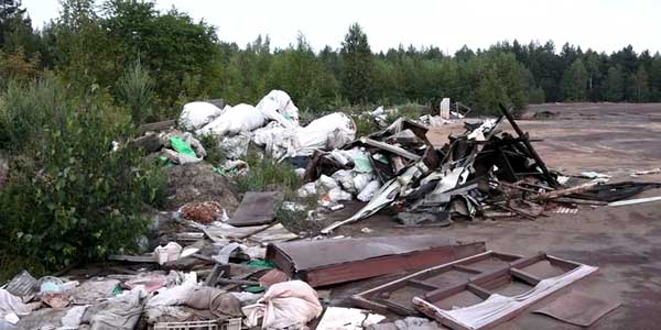 Дзержинские депутаты просят строже наказывать за мусор вне специально отведенных мест