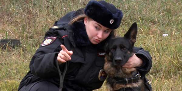 «Собака - как еще один ребенок». Дзержинский кинолог Юлия Богомолова о своей работе
