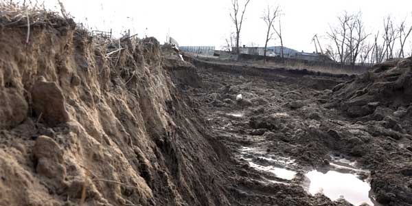 Дачные раскопки. Вывоз плодородной почвы из пригородного поселка Дзержинска запрещен