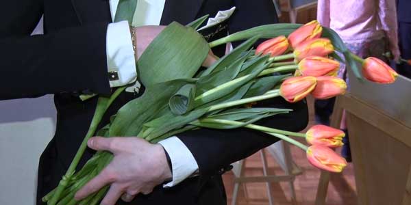 Розовые тюльпаны. Дзержинским женщинам сегодня дарили цветы