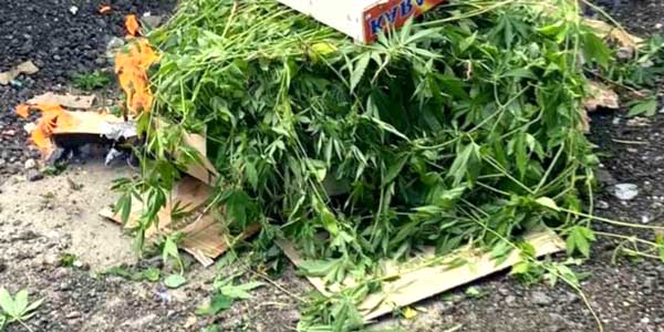 Молодым наркосбытчикам из Дзержинска грозит внушительный тюремный срок