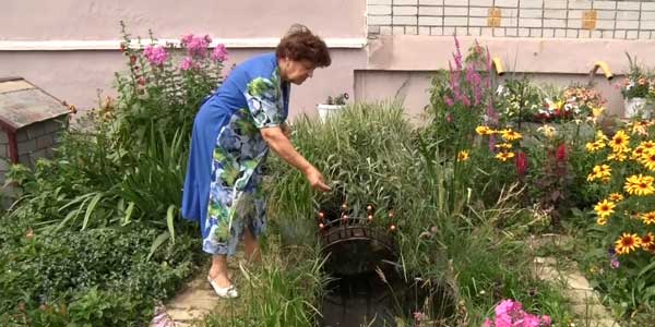 Пруд с рыбками появился в одном из палисадников Дзержинска