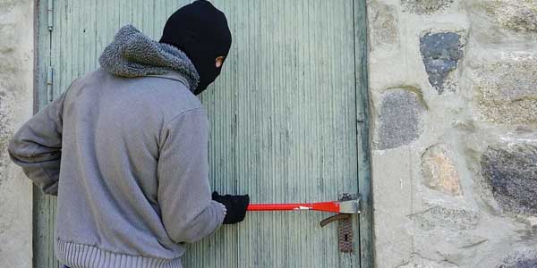 По горячим следам: две кражи из дачных домиков раскрыли дзержинские полицейские