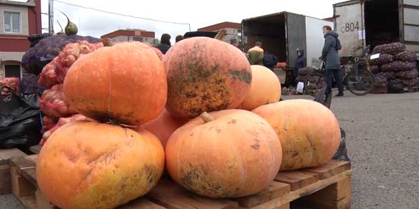 На новом месте: ежегодная сельхозярмарка открылась в Дзержинске