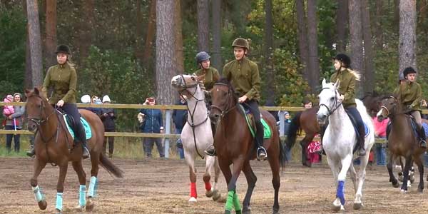 Красота и грация: День лошади прошел в конноспортивном комплексе Дзержинска