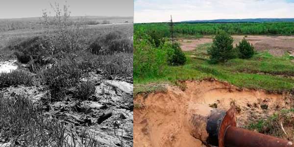 Нечистое дело: одна из дзержинских компаний заплатит 200 тысяч рублей за загрязнение почвы