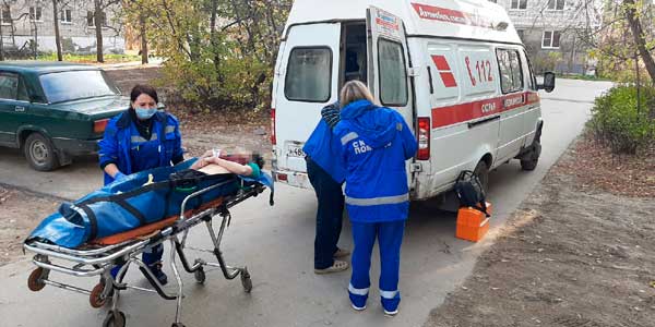 Отчаянный защитник: в Дзержинске спаниель кусал любого, кто пытался помочь его хозяйке