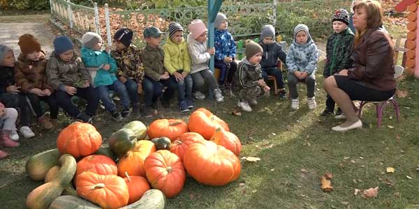 Богатый урожай: огромные тыквы вырастили в одном из детских садов Дзержинска