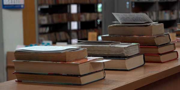 Новый руководитель: Людмила Кемайкина назначена директором ЦБС в Дзержинске