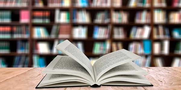 Дзержинский библиовестник: новинки на книжных полках актуальные для школьников и не только