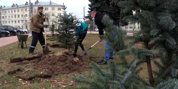 Чистый воздух города: акция по компенсационному озеленению прошла в Дзержинске