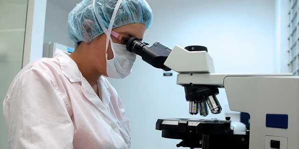 Беспристрастное расследование: нарушения санитарного законодательства выявили в дзержинской школе
