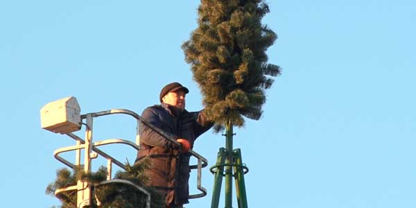 Настроение праздника: на главной площади Дзержинска устанавливают новогоднюю ель