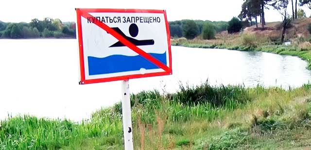 Бактерии в водоеме: запрещено купание на Святом озере в Дзержинске