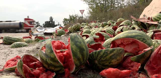Сладкая свалка: гору арбузов обнаружили на обочине дзержинской дороги