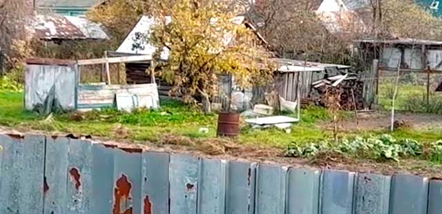 Криминальный садовод: житель Володарского района выращивал у себя на приусадебном участке коноплю