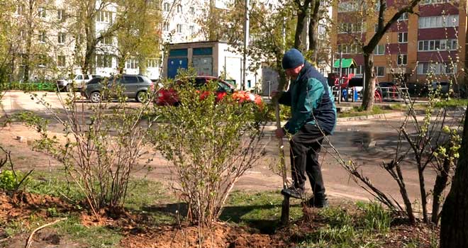Культура содержания: благоустройством одного из дворов Дзержинска занимаются жители совместно с управляющей компанией