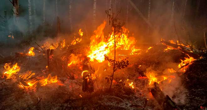 Огненное лето: режим ЧС из-за лесных пожаров введен в Нижегородской области
